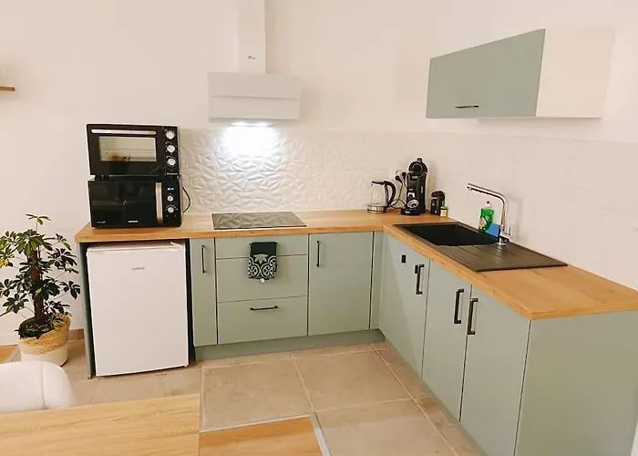 Le Foucauld 4 Canapes, Parking, Wifi Daire Lourdes