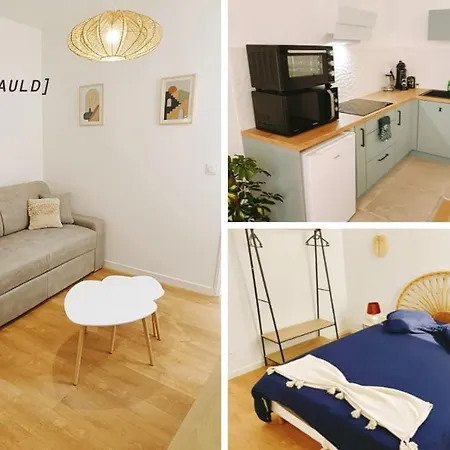 Appartement Le Foucauld 4 Canapes, Parking, Wifi Lourdes